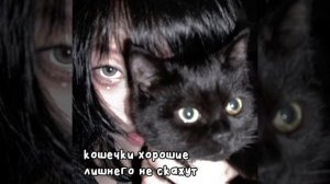 miréle-кошечки хорошие лишнего не скажут||speed up||