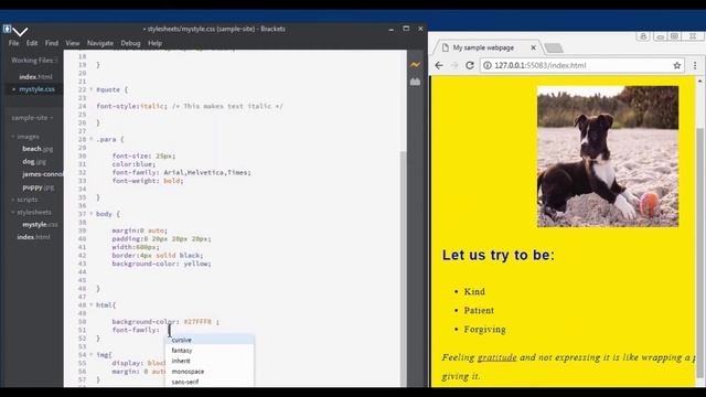 Web Development Tutorial For Beginners | Web Development from Scratch | Part -20 entertainment medi смотреть онлайн