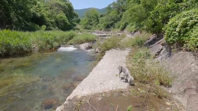 Русские родители в корейской деревне. Конец путешествия. Катя и КюдэКореяПусан