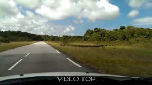 Необычные случаи в охоте на кабана