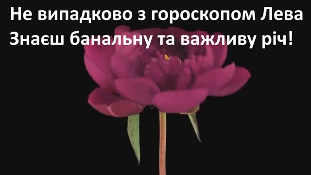 З Днем народження, Олександра! смотреть онлайн