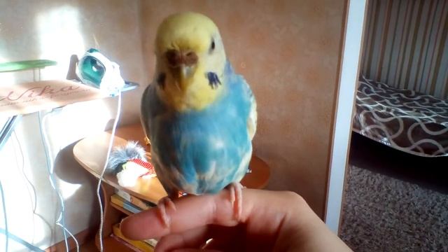 Я очень сажелею что Глаша умерла её пчтеньчиком😖😔