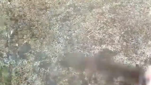 Simple way of sharpening OLD BOLO or Machete. смотреть онлайн