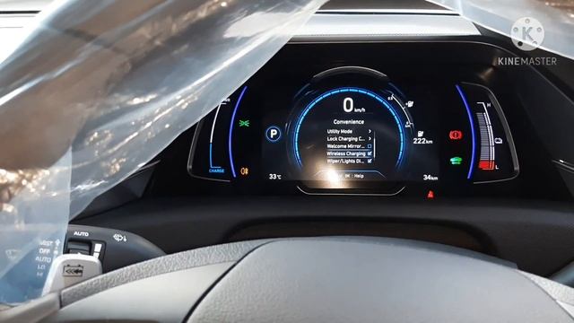 Hyundai All New Ioniq Electric Signature 2021 Review (In Depth Tour)