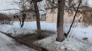 СНЯТО НА GOOGLE PIXEL 9