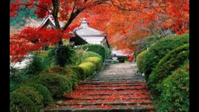 NE KOPAJ PO PROŠLOSTI, GLEDAJ ISPRED SEBE. - N.V.Pil смотреть онлайн