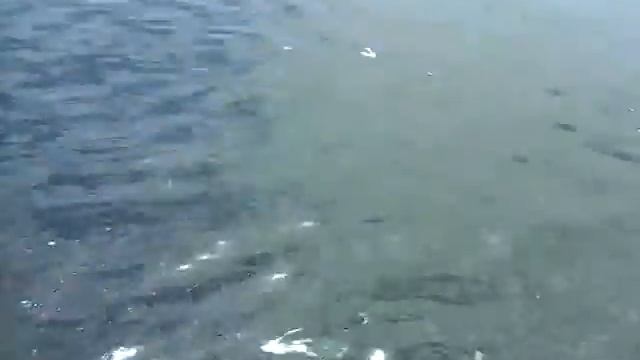 На пляже Чёрного моря