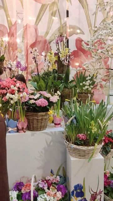 в ГУМе весна полным ходом смотреть онлайн