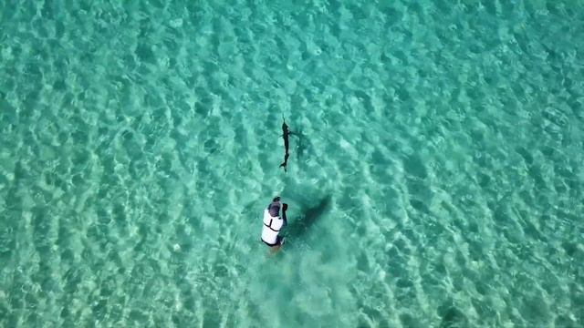 MARLIN ON THE FLATS - Hervey Bay Juvenile Black Marlin 2020 Season