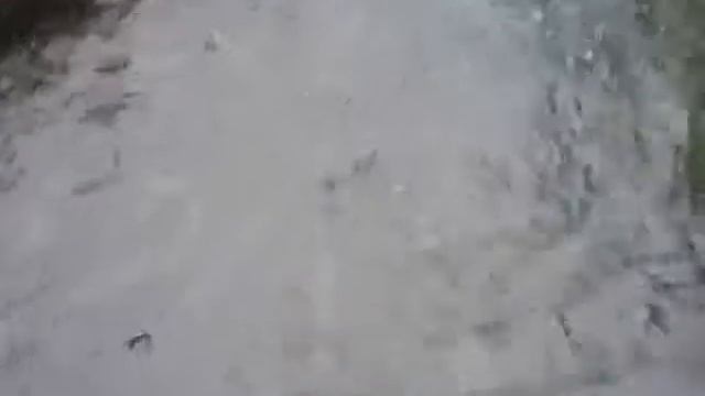28.11.19 запуск форели 85 кг на малый водоём