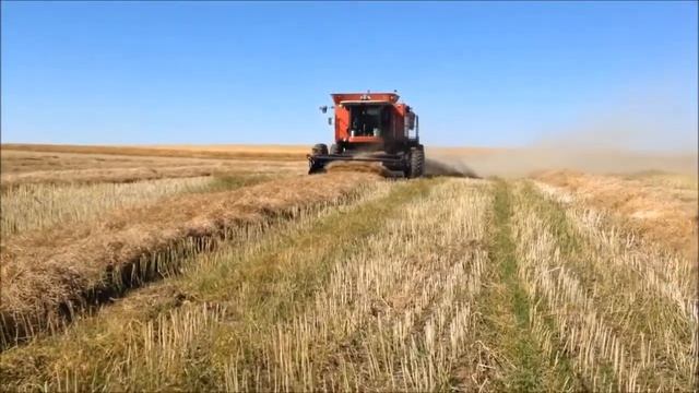 No-Till технологія Ріпак вирощування Америка