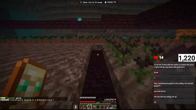 Wither Skeleton Hunting