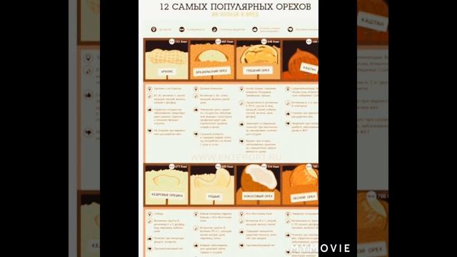 Польза и вред орехов