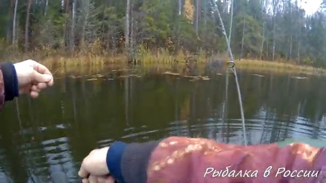 Отцеп для воблеров. Рыболовный отцеп используем на практике смотреть онлайн
