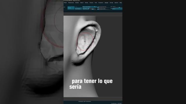 ¿Cómo esculpir una oreja en #zbrush ? - #anatomy #anatomia #anatomiapratica #zbrushart смотреть онлайн