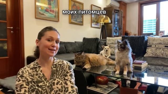 Глазные капли Форвет смотреть онлайн