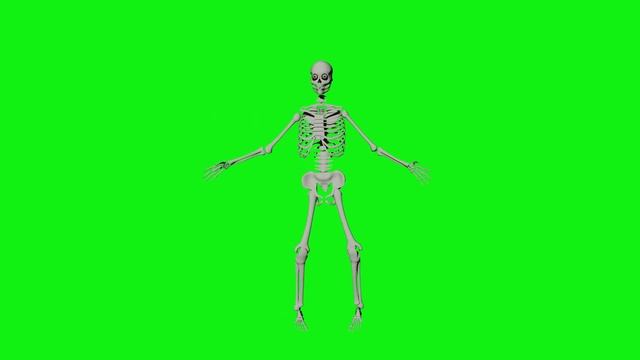 Skeleton Ghost dance funny free green screen effects video | Blender 3d animation смотреть онлайн
