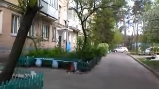 Весенний двор