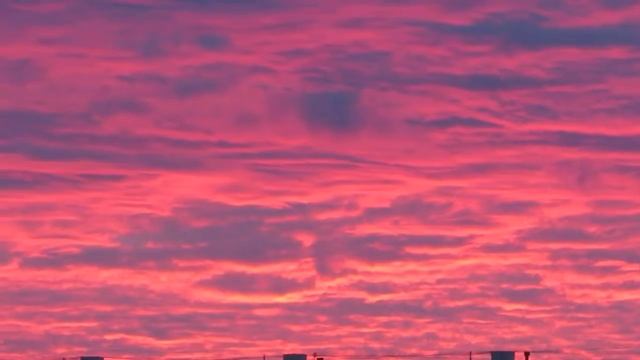 🌤️ Алый московский рассвет и стрекотание цикад / Сочи 2019 🌅 смотреть онлайн