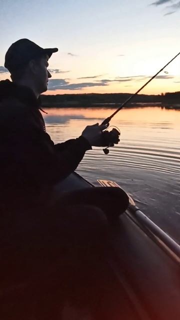 Спиннинг с лодки  #рыбалка #fishing #shorts