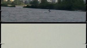 Прогулянка на пароплаві. Черкаси. Дніпро