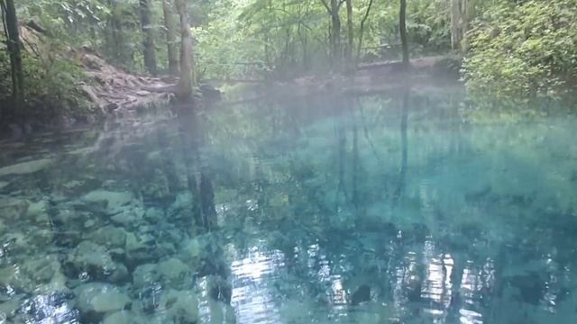 Romania - Lacul Ochiul Beiului (Parcul Național Cheile Nerei) смотреть онлайн