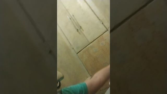 обзор на туалет смотреть онлайн