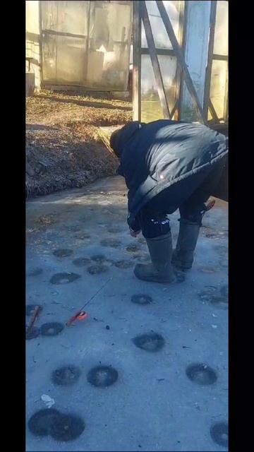 подборка поимок смотреть онлайн