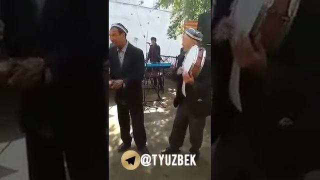 Шек шек мадам шек
