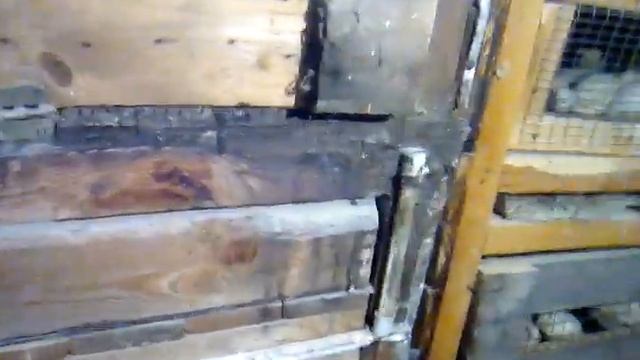 Дождь/небольшой обзор про огород/Хозяйство. смотреть онлайн