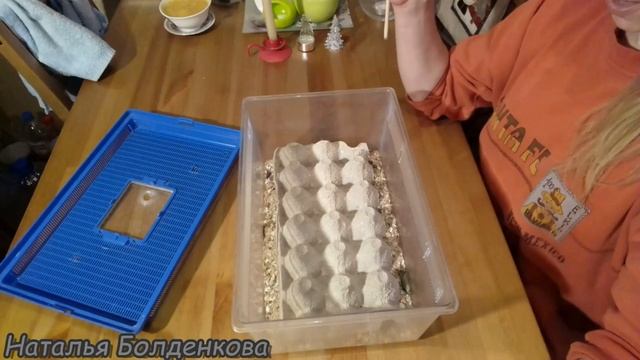 Идея для бизнеса. смотреть онлайн