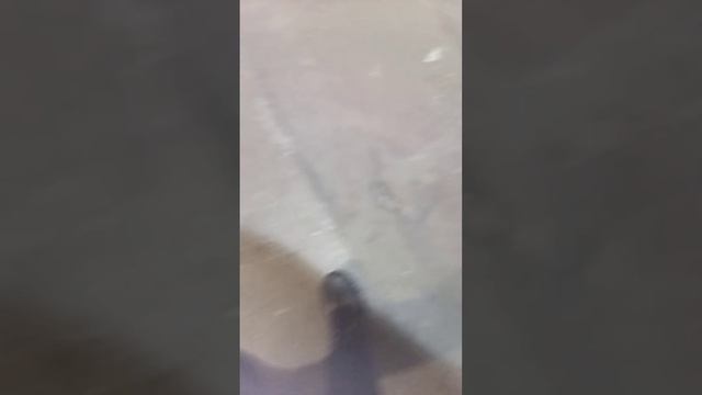ОБЗОР НА БЕТОН В ПАДИКЕ!!! ПО ПОНЯТИЯМ!!!! смотреть онлайн