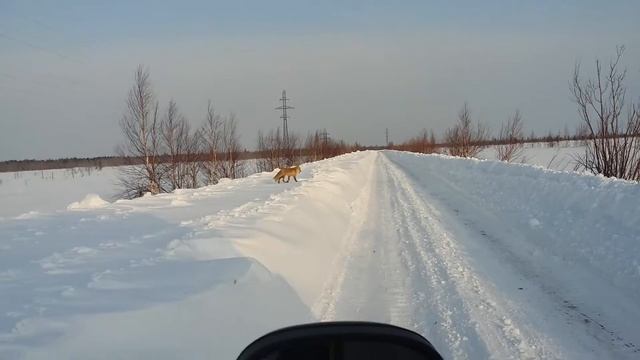 харампур-зимник на поселок ""толька"" смотреть онлайн