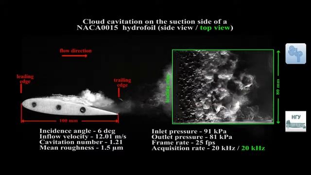 Cloud cavitation on the suction side of a NACA0015 hydrofoil смотреть онлайн