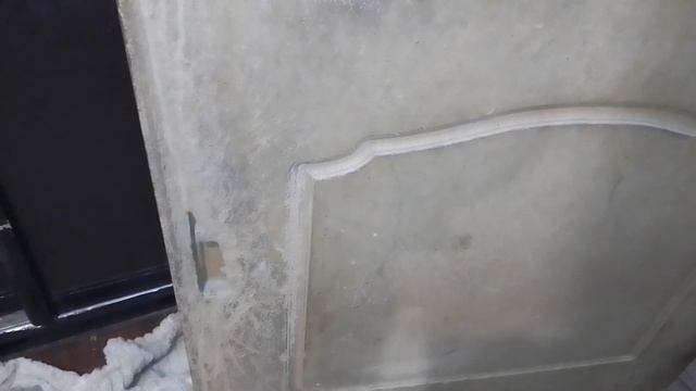 30.11.22. #вечернийвечер Ника-Динка, Мишка, Мистер Баттон, Мурыся... Сурикен сниматься отказался. смотреть онлайн