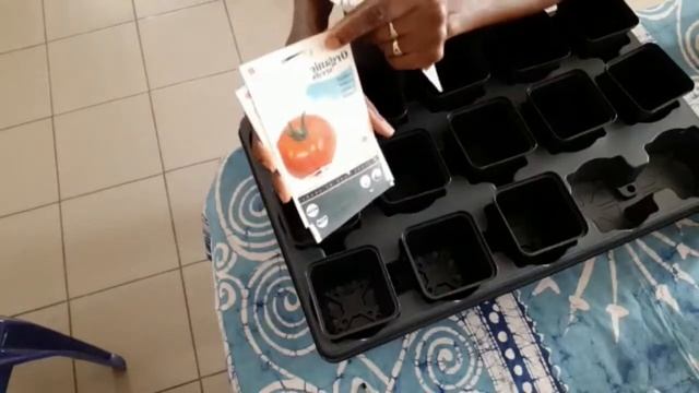 Starting Organic DIY Vegetable Garden | My Backyard Gardening