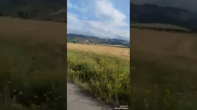 Дом, милый дом смотреть онлайн