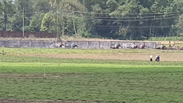Latber Pemula AB 1. Cita Nusantara Esa 2. Minteng Jr 3. Putri Nuagan смотреть онлайн