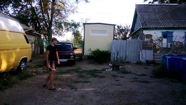 хаски нкд смотреть онлайн