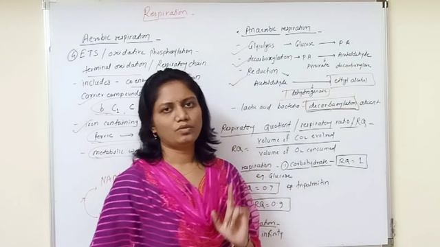 12th | Quick Revision series | Respiration |Part - 4 | ETS, Anaerobic respiration смотреть онлайн