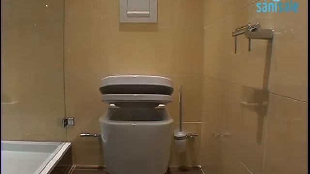 Globo Ceramica - Stone - Closetzitting met deksel softclosing смотреть онлайн