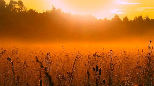 Газманов Новая Заря смотреть онлайн