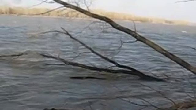 Иртыш район с Ямышево. смотреть онлайн