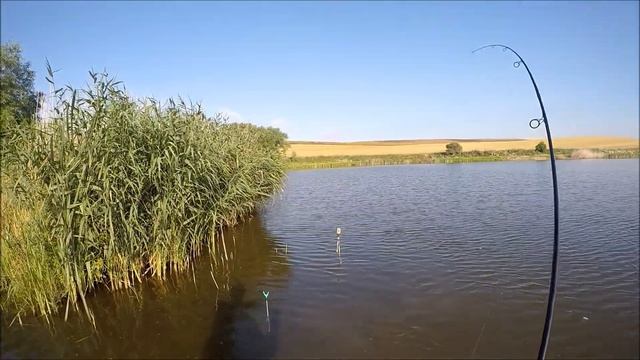 Pierwszy karp koi(ALE ODJAZD) смотреть онлайн