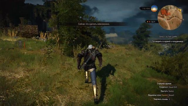 The Witcher 3 Wild Hunt . Заказ на Белую Даму смотреть онлайн