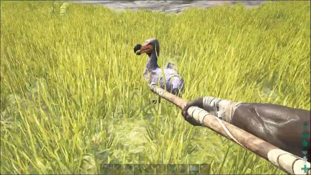 ARK Survival Evolved 01 Dingo The Dino смотреть онлайн