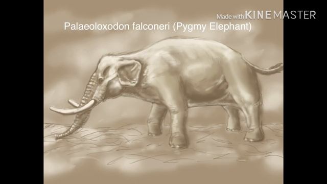 A Guide to Prehistoric Proboscideans смотреть онлайн