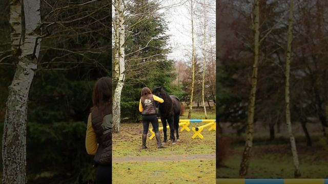 Упражнение на улучшение доверия "Парковка" смотреть онлайн