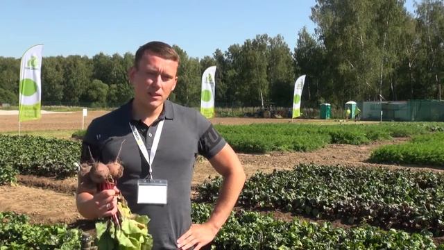 Чудо Свекла "Ларка" смотреть онлайн