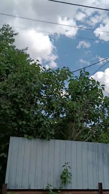 Электромонтажные работы в дачном домике после пожара. #электромонтаж #электрика #энергетика #сип смотреть онлайн